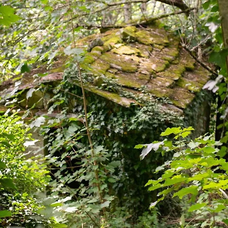 Ecolagar O Barqueiro * Panton