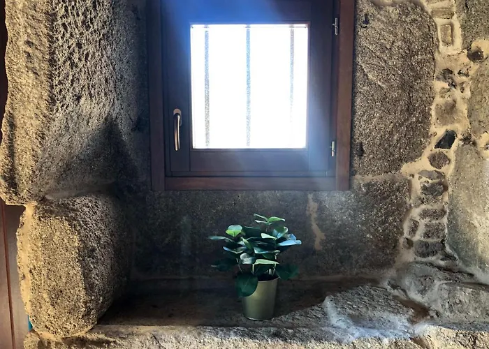 Ecolagar O Barqueiro *